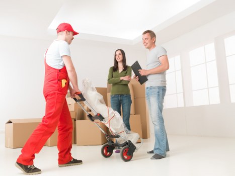 Packed storage boxes and furniture for local household storage needs